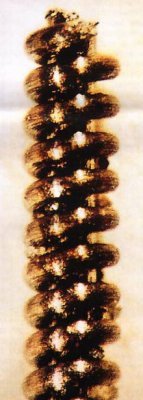 SPIRAL SHAPED MICRO OBJECT