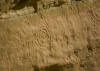 Spiral Petroglyph Pictograph